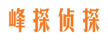 平湖侦探